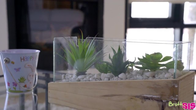 Секс с милым кроликом - #2